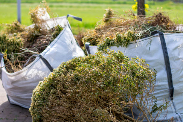 Debris Removal in Cocoa Beach, FL